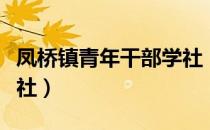 凤桥镇青年干部学社（关于凤桥镇青年干部学社）