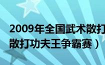 2009年全国武术散打锦标赛（2011中国武术散打功夫王争霸赛）