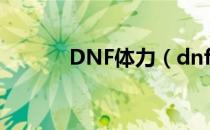 DNF体力（dnf体力有什么用）