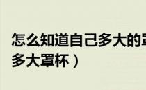 怎么知道自己多大的罩杯（怎么用手判断自己多大罩杯）