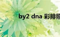 by2 dna 彩排照片（by2 dna）