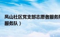 凤山社区党支部志愿者服务队（关于凤山社区党支部志愿者服务队）