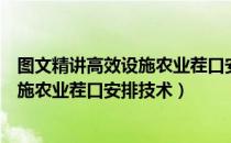 图文精讲高效设施农业茬口安排技术（关于图文精讲高效设施农业茬口安排技术）