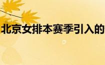 北京女排本赛季引入的外援将无缘本赛季联赛