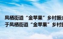 凤栖街道“金苹果”乡村振兴志愿者服务队安民村分队（关于凤栖街道“金苹果”乡村振兴志愿者服务队安民村分队）