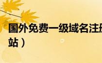 国外免费一级域名注册（免费国外域名注册网站）