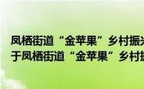 凤栖街道“金苹果”乡村振兴志愿者服务队桥西村分队（关于凤栖街道“金苹果”乡村振兴志愿者服务队桥西村分队）