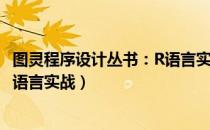 图灵程序设计丛书：R语言实战（关于图灵程序设计丛书：R语言实战）