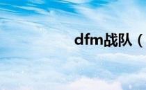 dfm战队（da特战队）