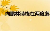 向鹏林诗栋在两度落后的情况下实现逆转