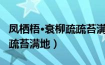 凤栖梧·衰柳疏疏苔满地（关于凤栖梧·衰柳疏疏苔满地）