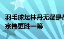 羽毛球坛林丹无疑是最强的球员但论稳定性李宗伟更胜一筹