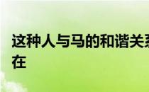 这种人与马的和谐关系正是马术运动的核心所在