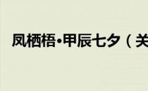 凤栖梧·甲辰七夕（关于凤栖梧·甲辰七夕）