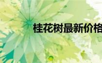 桂花树最新价格（桂花价格表）