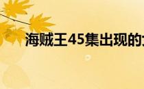 海贼王45集出现的女人（海贼王455）