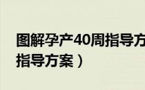 图解孕产40周指导方案（关于图解孕产40周指导方案）