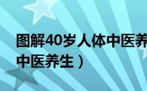 图解40岁人体中医养生（关于图解40岁人体中医养生）