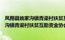 凤翔县姚家沟镇青渠村扶贫互助资金协会（关于凤翔县姚家沟镇青渠村扶贫互助资金协会）