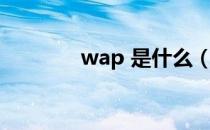 wap 是什么（wap 浏览器）