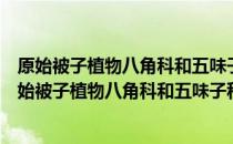 原始被子植物八角科和五味子科的生殖生物学研究（关于原始被子植物八角科和五味子科的生殖生物学研究）