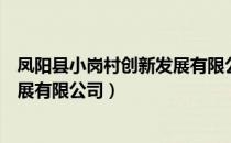 凤阳县小岗村创新发展有限公司（关于凤阳县小岗村创新发展有限公司）