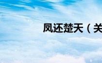 凤还楚天（关于凤还楚天）