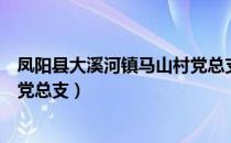 凤阳县大溪河镇马山村党总支（关于凤阳县大溪河镇马山村党总支）