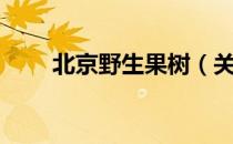 北京野生果树（关于北京野生果树）