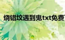 烧错坟遇到鬼txt免费下载（烧错坟遇到鬼）