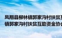 凤翔县柳林镇郭家沟村扶贫互助资金协会（关于凤翔县柳林镇郭家沟村扶贫互助资金协会）