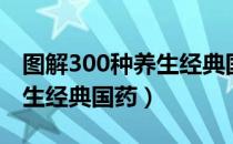 图解300种养生经典国药（关于图解300种养生经典国药）