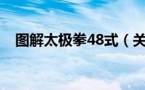 图解太极拳48式（关于图解太极拳48式）