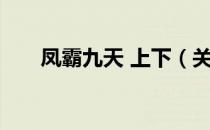 凤霸九天 上下（关于凤霸九天 上下）