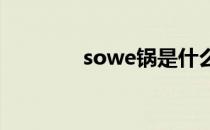 sowe锅是什么品牌（sow）