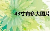 43寸有多大图片（4 3寸有多大）