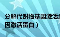 分解代谢物基因激活蛋白（关于分解代谢物基因激活蛋白）