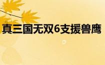 真三国无双6支援兽鹰（真三国无双6支援兽）