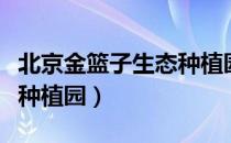 北京金篮子生态种植园（关于北京金篮子生态种植园）