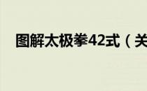 图解太极拳42式（关于图解太极拳42式）