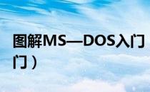 图解MS—DOS入门（关于图解MS—DOS入门）