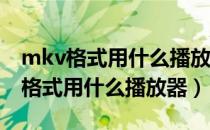 mkv格式用什么播放器可以播放ipad（mkv格式用什么播放器）