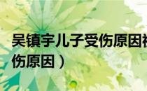 吴镇宇儿子受伤原因视频回放（吴镇宇儿子受伤原因）