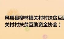 凤翔县柳林镇关村村扶贫互助资金协会（关于凤翔县柳林镇关村村扶贫互助资金协会）