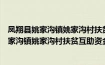 凤翔县姚家沟镇姚家沟村扶贫互助资金协会（关于凤翔县姚家沟镇姚家沟村扶贫互助资金协会）