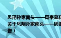 凤翔孙家南头——周秦墓葬与西汉仓储建筑遗址发掘报告（关于凤翔孙家南头——周秦墓葬与西汉仓储建筑遗址发掘报告）