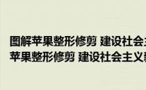 图解苹果整形修剪 建设社会主义新农村图示书系（关于图解苹果整形修剪 建设社会主义新农村图示书系）