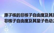 原子核的非核子自由度及其量子色动力研究（关于原子核的非核子自由度及其量子色动力研究）