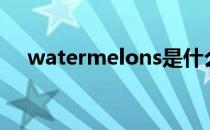 watermelons是什么意思英语怎么读音