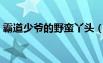 霸道少爷的野蛮丫头（黑道少爷的野蛮丫头）